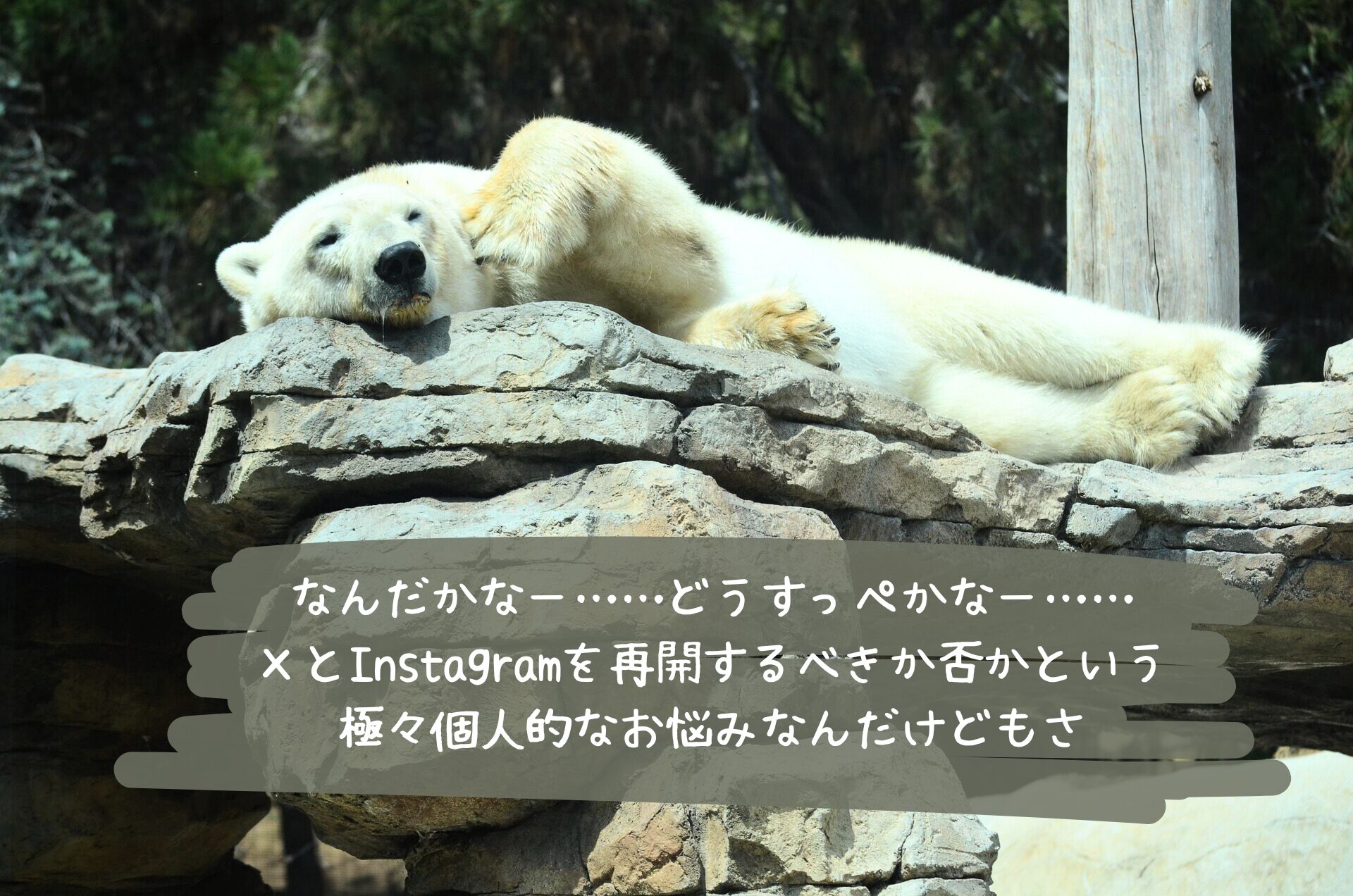 寝ころぶシロクマ