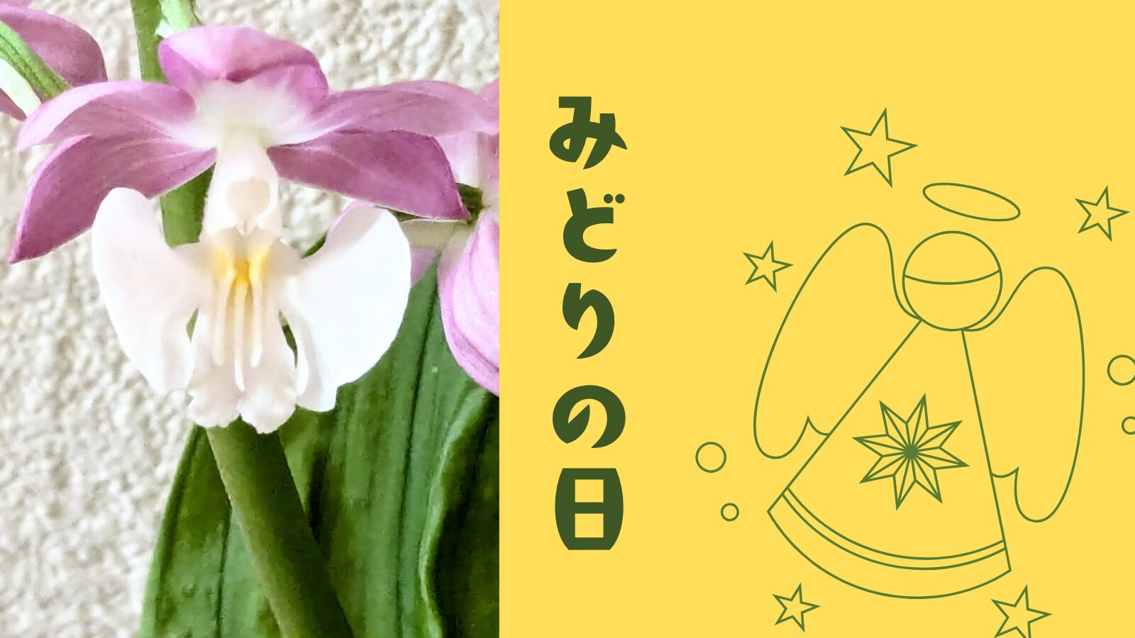 エビネの花