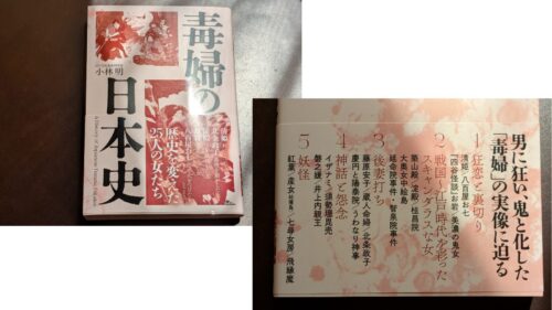 毒婦の日本史