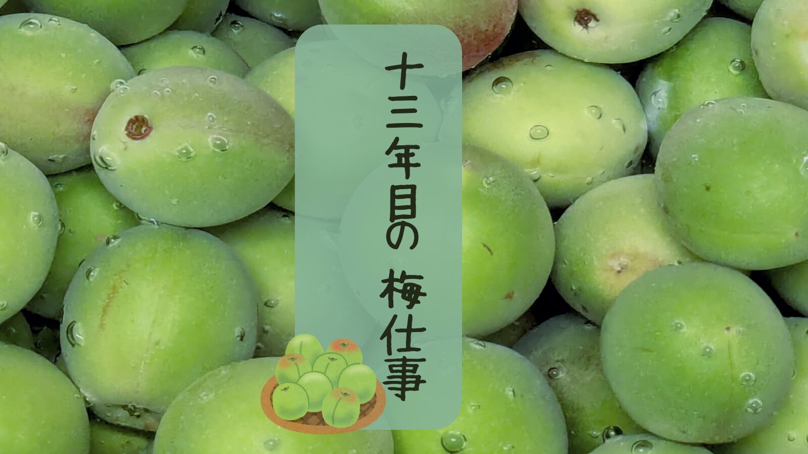 青梅
