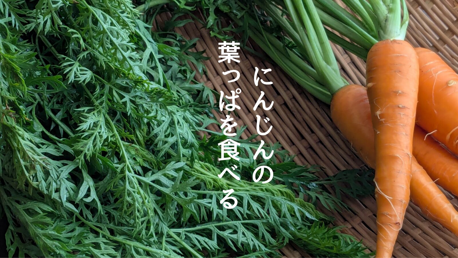 にんじんの葉っぱ